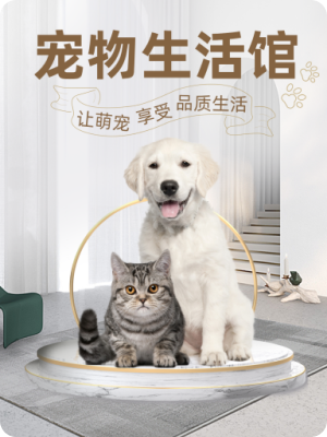 寵物設計模板圖片